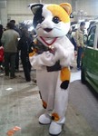 三毛猫さん♪