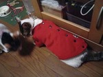 ちょっとヘコヘコ(笑)