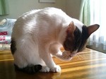 気になるわー