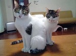 ポーズ♪