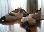 たいくつー。