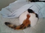 ずさぁ〜♪