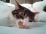 2歳って・・?
