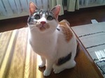 終わった?!