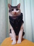 ちょっぴり緊張?
