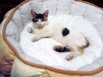 ラン3ヶ月半の頃